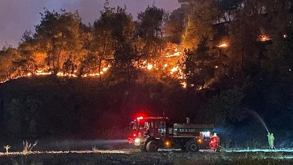 Sakarya ve Bilecik’te orman yangını! Alevlerle mücadele ikinci gününde